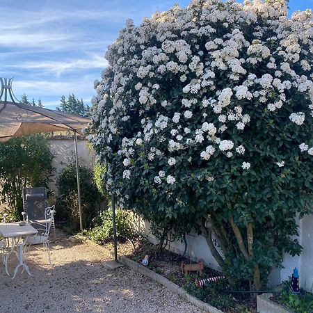 La Roubine, Velleron Villa Dış mekan fotoğraf