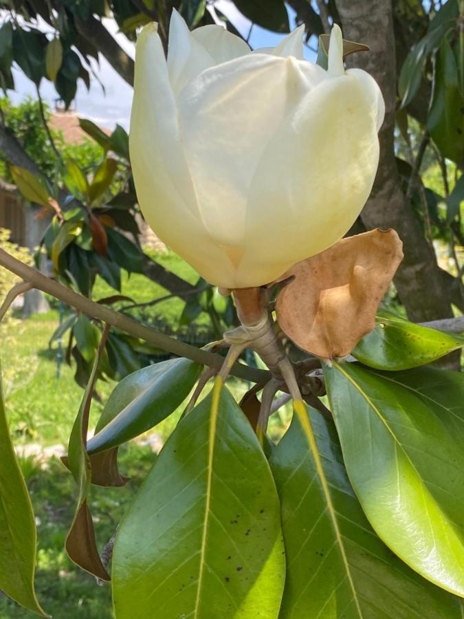 La Roubine, Velleron Villa Dış mekan fotoğraf